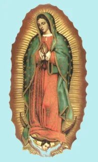 Feast of Our Lady of Guadalupe Declaration