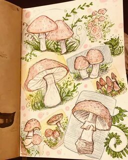 Mushroom page 🍄 Sketch book, Art journal inspiration, Art di