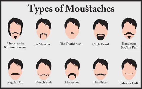 Types of handlebar mustaches
