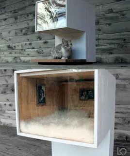 Creative Cat Houses Animals