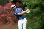 The Players Day 1: Dustin Johnson Leads Scoring Parade - Dog