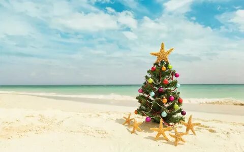 Christmas Tree Beach Desktop Background