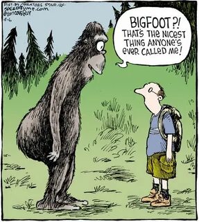 bigfoot Sasquatch funny, Finding bigfoot, Bigfoot pictures