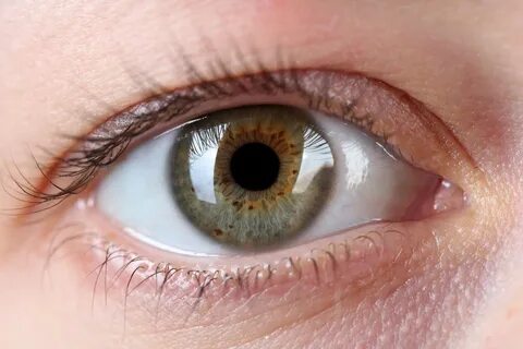 15 Eye Opening Facts about Your Eyes - Freedom Vision