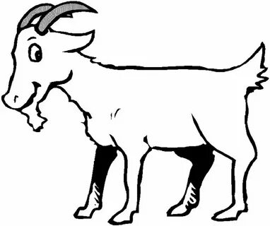 goat coloring sheet Cute animal drawings, Animal drawings, G