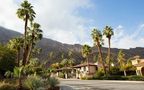Artful Escapes // Palm Springs Edition T