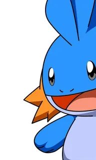 1440x900 Pokemon Mudkip Desktop PC And Mac Wallpapers Deskto