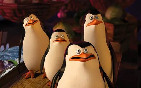 Penguins Of Madagascar HD Wallpaper Background Image 2560x16