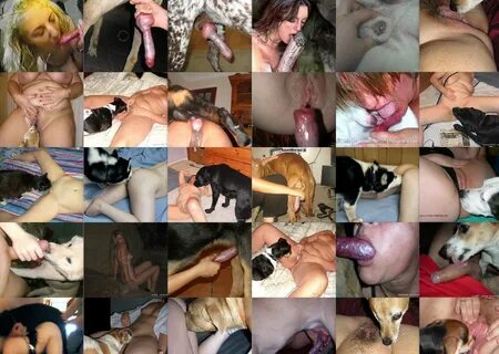 Artofzoo Porn Download To Your Mobile Phone - Porn Sex Photo