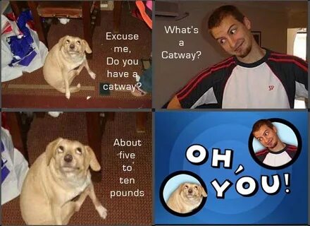 Oh You Dog Meme