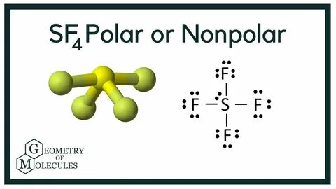 Is SF4 Polar or Non-polar? (Sulfur Tetrafluoride) - YouTube