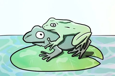 sexy frog - rawasyplastic.com.