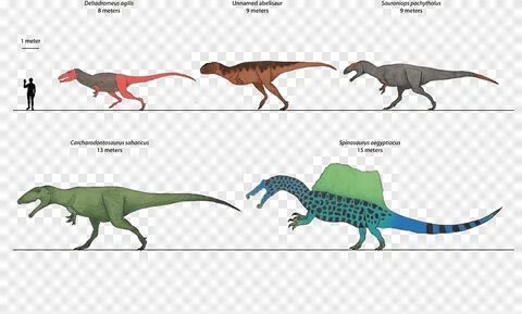 Velociraptor Tyrannosaurus, Sauroniops, lain-lain, tyrannosa