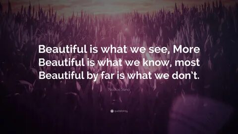 Nicolas Steno Quote: "Beautiful is what we see, More Beautif