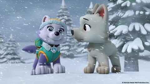 Paw Patrol - S6E19 - Pups Save a White Wolf/Pups Save a Wron