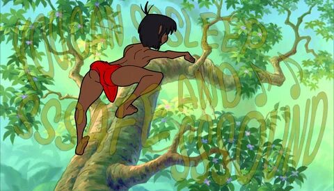 Mowgli and Bagheera The Chequer