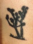 Joshua tree tattoo to mark my holiday in California. Done by