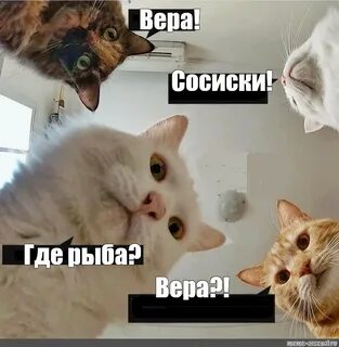 Мем: "Вера! Сосиски! Где рыба? Вера?!" - Все шаблоны - Meme-