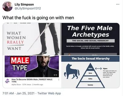 WTF Men Sigma Males Know Your Meme