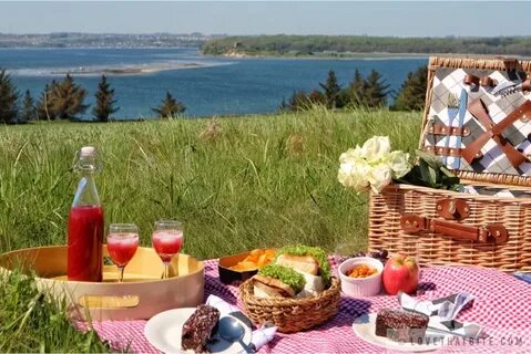 Picnic in Djursland - lovethatbite.com