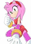 Found on Bing from e621.net Amy rose, Amy the hedgehog, Soni