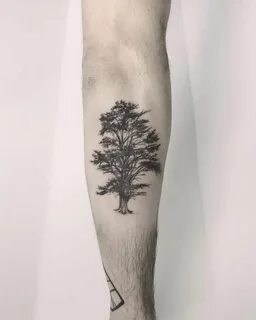Lebanese cedar tree tattoo by Annelie Fransson - Tattoogrid.