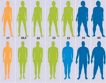 Индекс массы тела (ИМТ) норма для женщин, для мужчин, по воз
