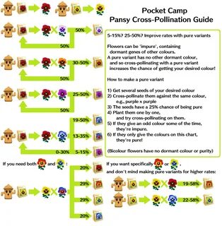 Animal Crossing Pocket Camp Strategy Guide 11 Advanced Tips 