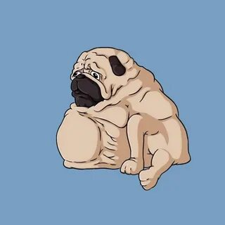 A Chubby Pug - YouTube