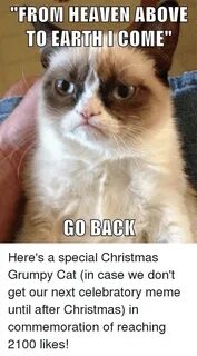 50 Inspiring Cat Memes Christmas Memes Ideas