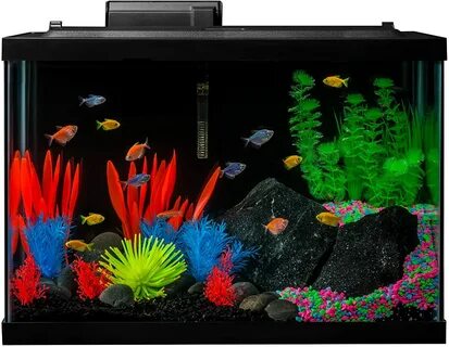 Купить Аквариум Unbrand Aquarium Kit Fish Tank with LED Ligh