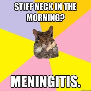 this was me this morning Anxiety cat, Hypochondriacs, Funny 