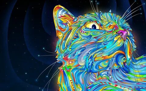 midnight, Cat, Abstract Wallpapers HD / Desktop and Mobile B