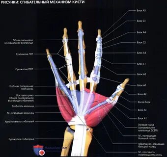 Синдром щелкающего пальца KinesioPro