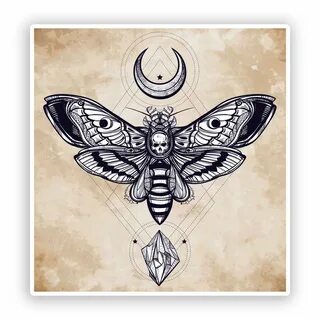 2 x Moth with Skull Vinyl Stickers Scary Horror #7411 eBay G