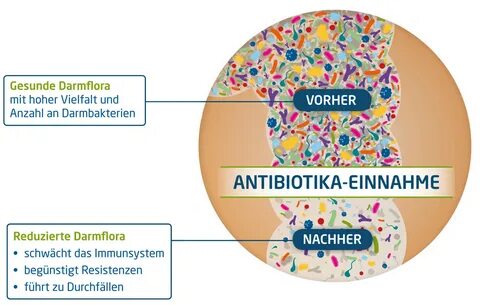 Wirkung von Antibiotika: Was ist bei der Einnahme zu beachte