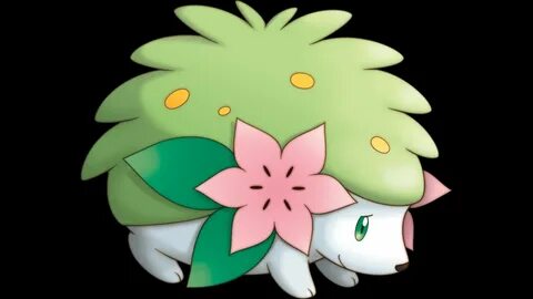 SHAYMIN EVENT IS HAPPENING! (Nintendo Network) - YouTube