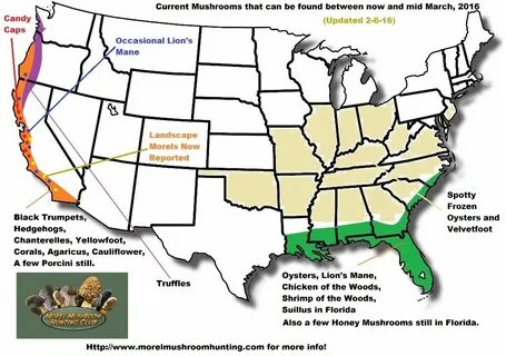 Indiana Morel Mushroom Progression Map - Big Bus Tour Map