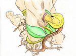 The Big ImageBoard (TBIB) - ambiguous gender bellsprout fell