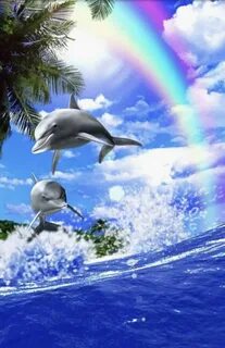 Pin by Melissa Endicott 🌹 ⭐ on Dolphins Wallpaper! Dolphin p