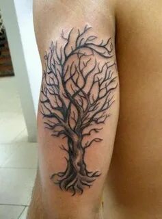 55+ Latest Oak Tree Tattoos Collection Tree tattoo men, Tree