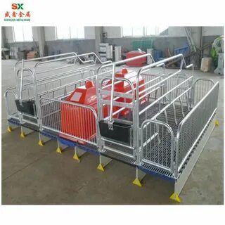 China Pig Cage Equipment Farrowing Crate Design Farrowing Ho