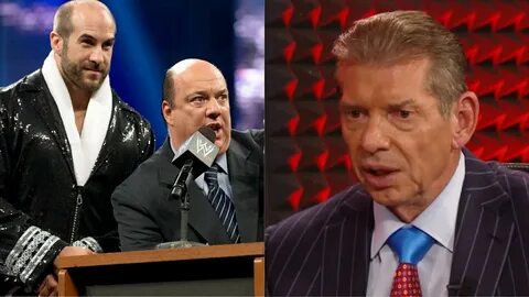 Vince Mcmahon Angry Related Keywords & Suggestions - Vince M