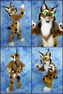 Pin by Dargon on Fursuiters in 2019 Furry art, Fursuit, Furs
