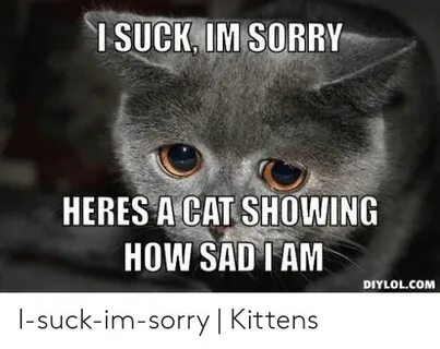 I SUCK IM-SORRY HERES a CAT SHOWING HOW SAD AM DIYLOLCOM I-S