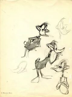 Daffy Duck Chuck jones art, Daffy duck, Animation sketches