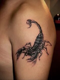 Тату скорпион - самые красивые тату скорпиона и их значения