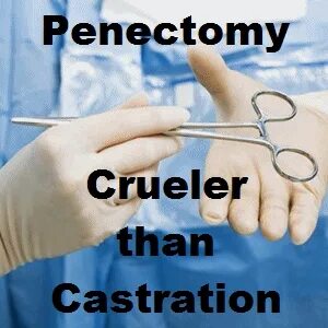 Goddess Natasha on Twitter: "Crueler than #castration #penec