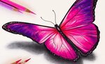 Pencil Easy Butterfly Drawing With Colour - Kranjang Amoh