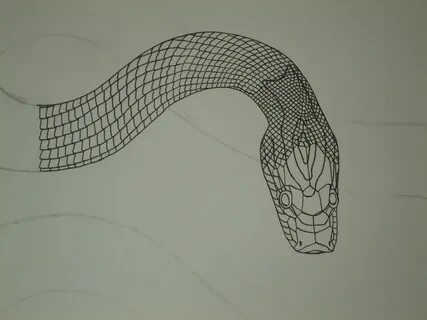 Snake Head Drawing Top View at GetDrawings Free download
